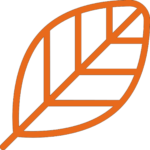 Leaf icon