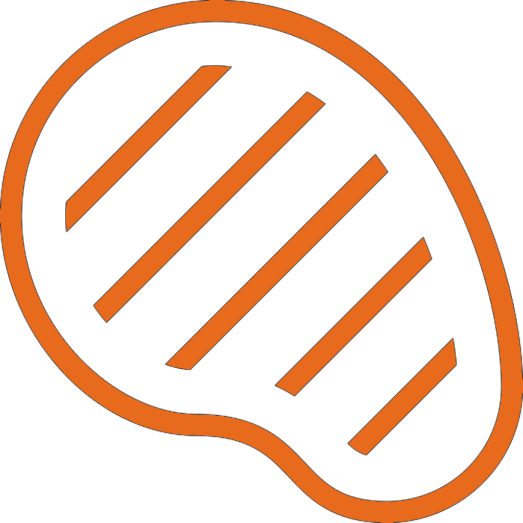 Steak icon